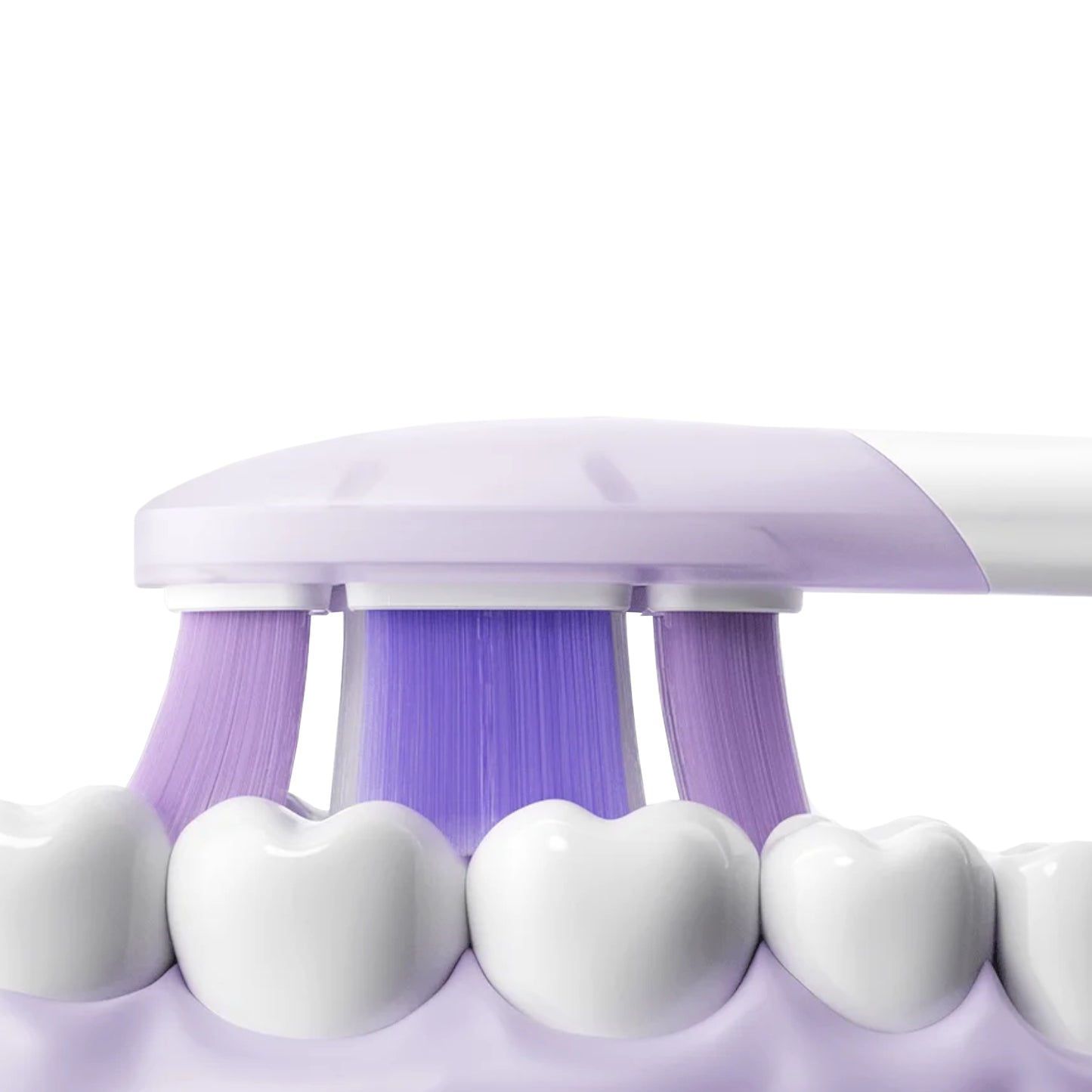 Xiaomi Oscillation Electric Toothbrush Replacement Heads