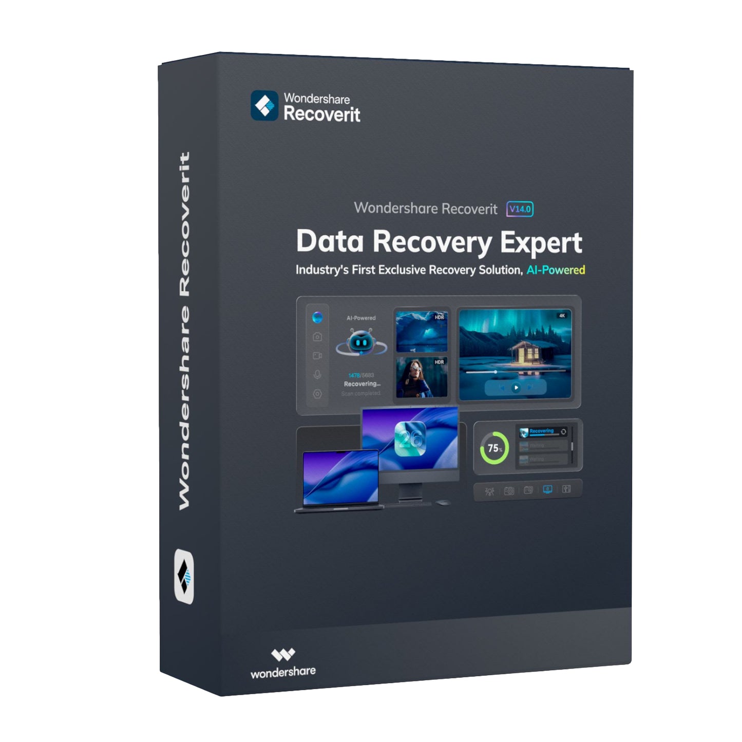 Wondershare Recoverit Individual License for Windows Perpetual License
