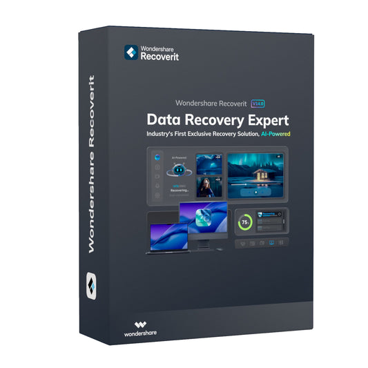 Wondershare Recoverit Individual License for Windows Perpetual License